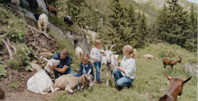Детей приглашают на сбор ягод в Швейцарских Альпах