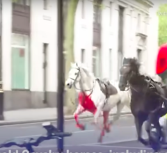 Лошади королевской гвардии устроили хаос в центре Лондона